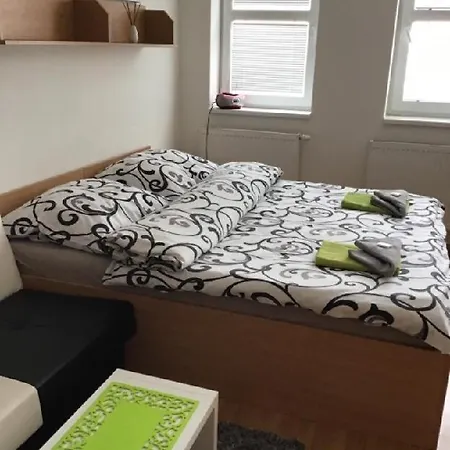 Apartman Alfa شقة Loučná pod Klínovcem